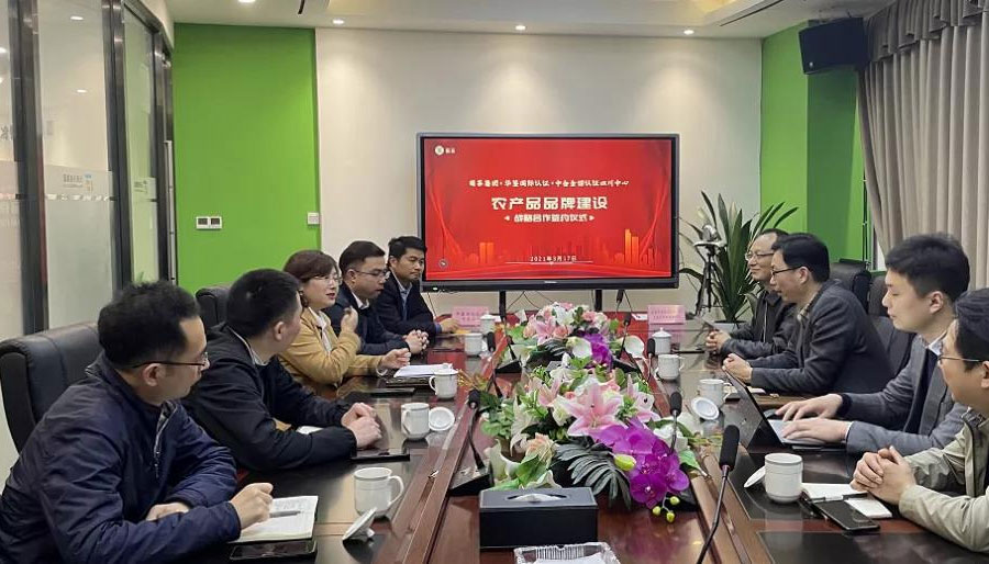 日韩十八禁在线1区2区3区不卡