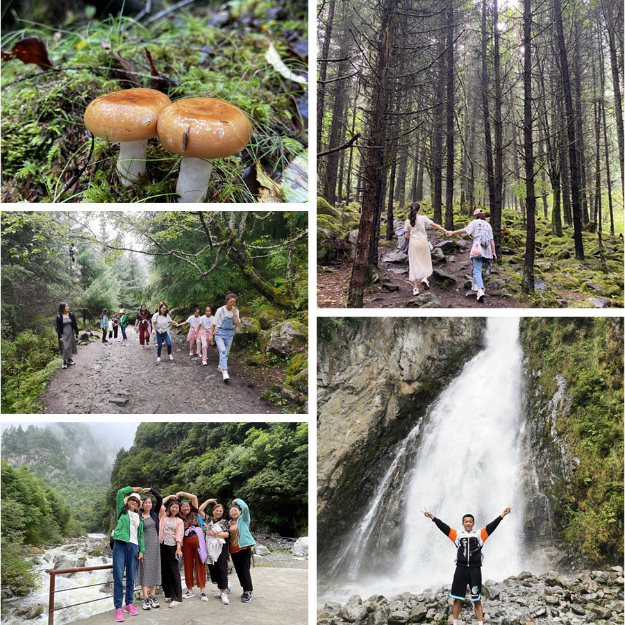 日韩十八禁在线1区2区3区不卡