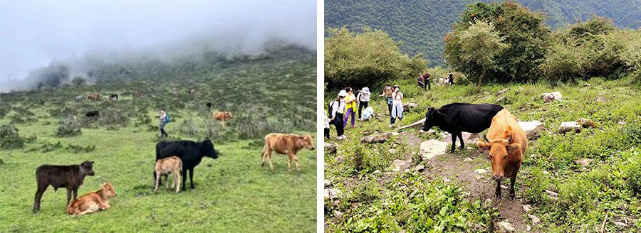 日韩十八禁在线1区2区3区不卡