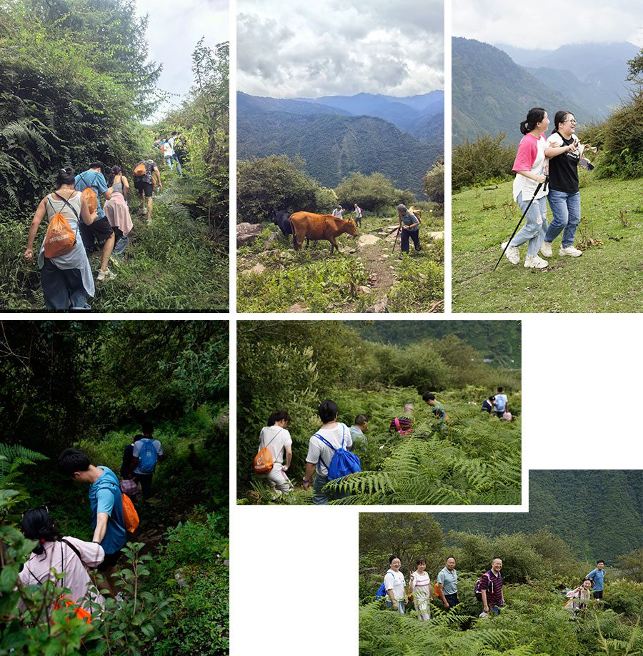 日韩十八禁在线1区2区3区不卡